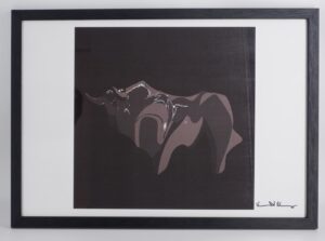 VDM-TORO-16 BLACK