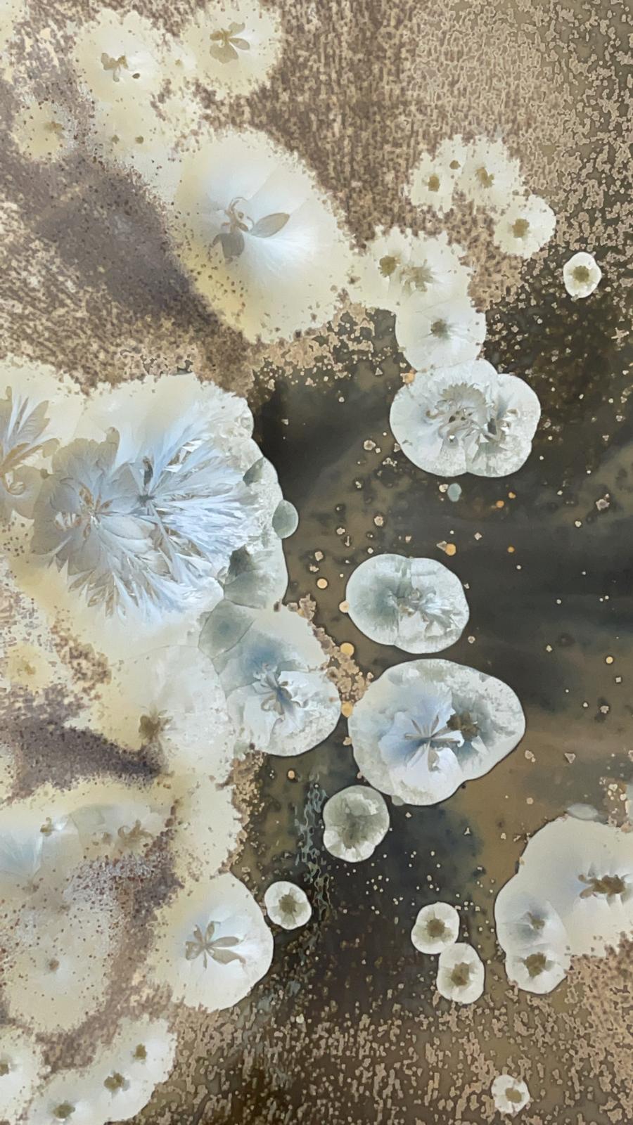materia1
